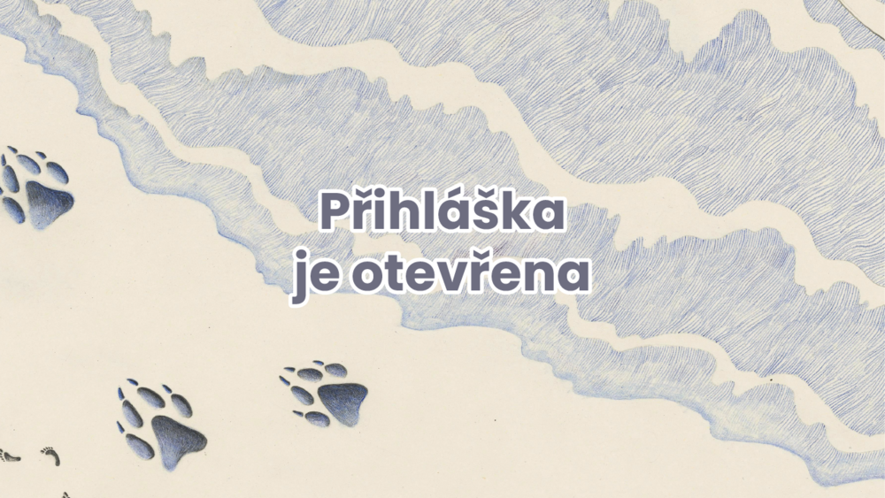 Dyzajn market Prázdniny