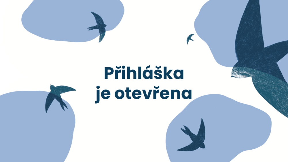 Dyzajn market Spring